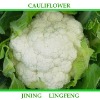 Cauliflower