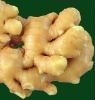 Chinese fresh ginger