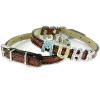 Designer Dog Collar, Dog Collars