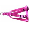 dog harness