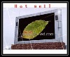 P20 Outdoor LED display