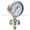 Diaphragm Seal pressure gauge