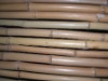 Bamboo Cane