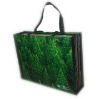 pp woven shopping bag