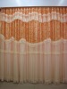 lace embroidery curtain/cording embroidery curtain /coiling embroidery curtain/organza curtain