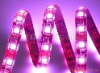 led flexible strip