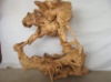 Root Carving