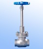 cryogenic LNG valve