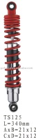 Motorcycle Parts/Motorcycle Shock Absorber(TS125)