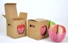 fruit memo pad