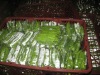 Chinese fresh pea