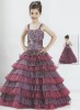 Flower Girl's Party Dress