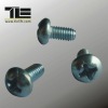 Machine Screw with Pan Philips Head