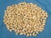 Blanched Peanut Kernels