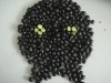 black beans(green kernels) 2011new