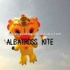 7.9m NEW show kites /inflatable soft kite