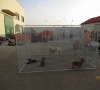 dog kennels