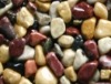 mixed polished pebble