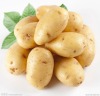 Fresh Chinese potatoes