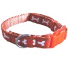 Designer Dog Collar, Dog Collars