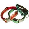 Designer Dog Collar, Dog Collars