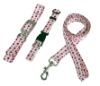 Dog Leash and collar