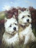 Cat and dog Oil Paintings