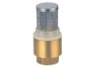 Brass Check Valve