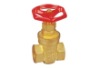 Brass gate valve