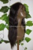 full lace wig