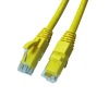 ethernet cable