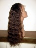 virgin human hair full lace wig