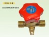 Coolant Control valve