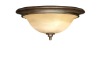 ceiling light