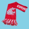 (BR01381) Knitted sport scarf