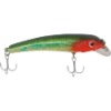 Fishing Lure