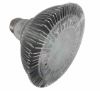 PAR30 LED light