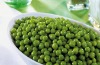 IQF green pea