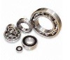 cylindrical roller bearing