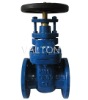 gate valve