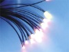 optical fiber