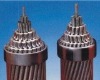 AAAC (all aluminium alloy conductor)