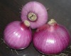 red onion