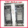 Holding 5280 eggs Full Automatic incubators for hatching eggs