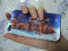 3d lenticular phone case