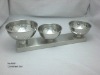 Stainless Steel Condiment Set