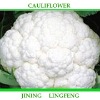 Cauliflower