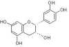 tea Extract: Epicatechin(EC)