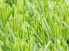 ARTIFICIAL LAWN ,DOUBLE-STEM GRASS