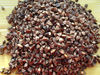 New crop Buckwheat